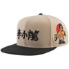 DGK Skateboards Bruce Lee Balance Sand Hat - Adjustable