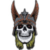 Powell Peralta Andy Anderson Skull Pin
