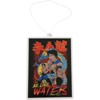 DGK Skateboards Bruce Lee Fury Black Air Freshener